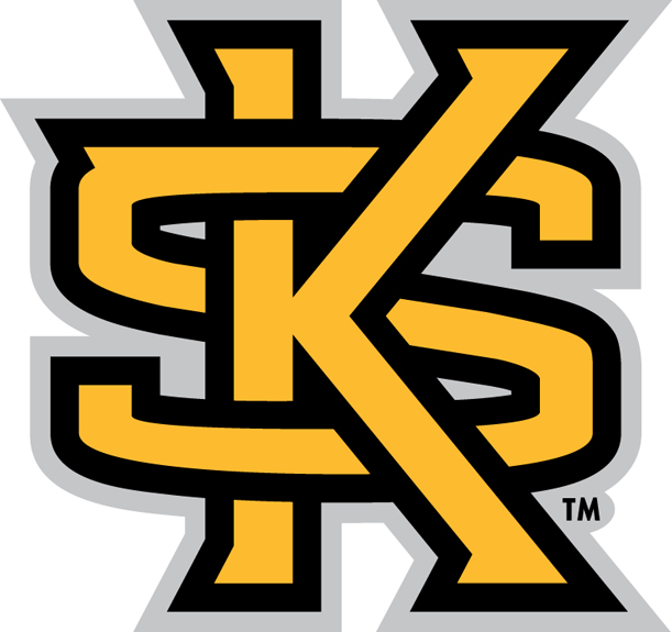 Kennesaw State Owls 2012-Pres Secondary Logo iron on transfers for T-shirts